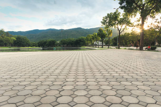 Best Brick Driveway Pavers  in Blythewood, SC
