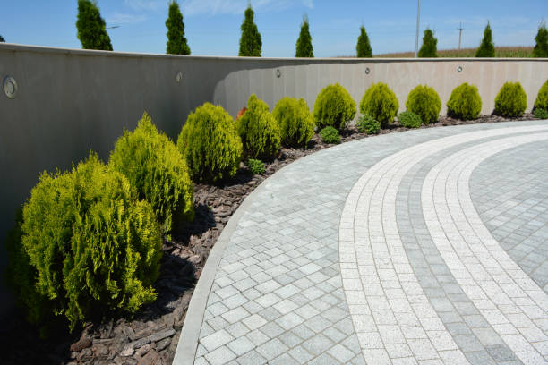 Best Residential Paver Driveway  in Blythewood, SC